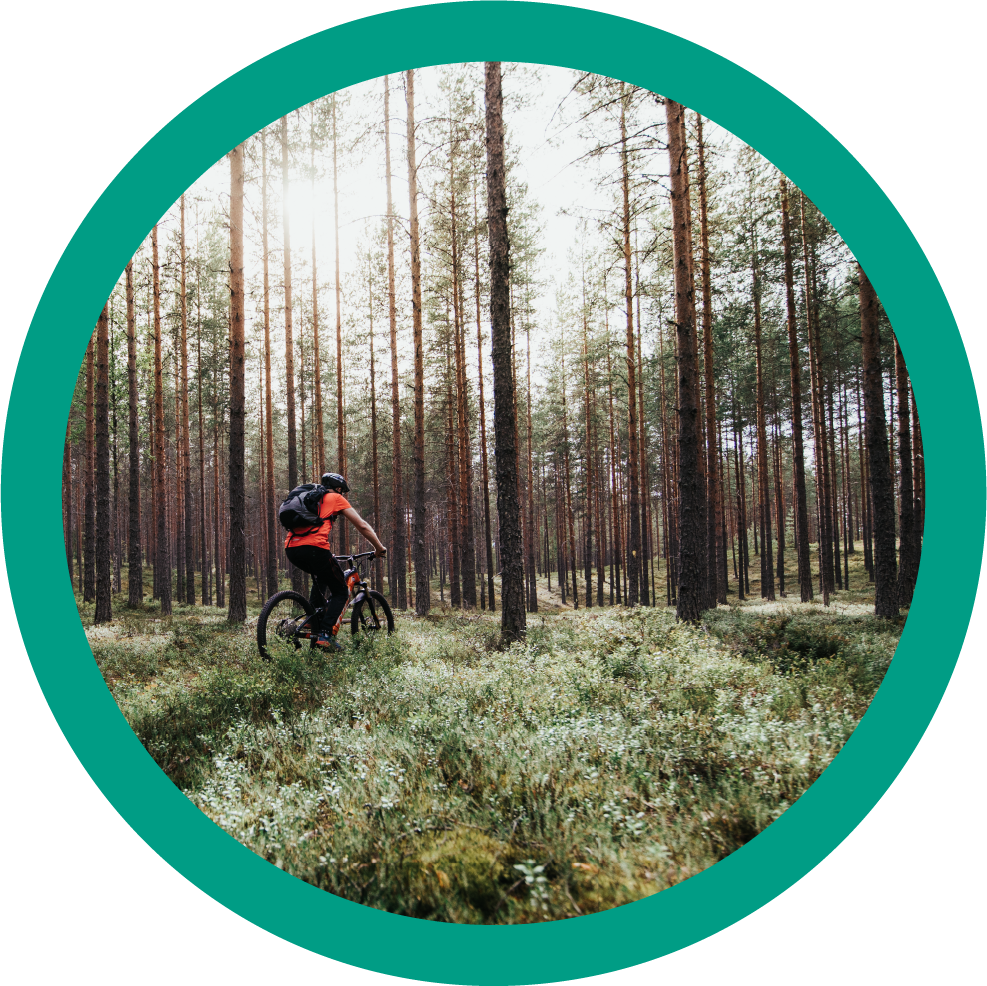 A person biking in forest